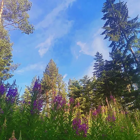 Vikendica Feriehus *