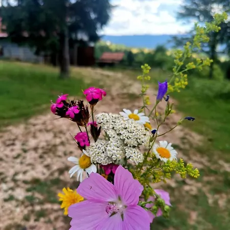 Vikendica Feriehus *