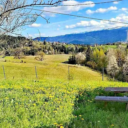 Feriehus Vikendica *